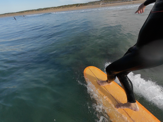 Surf Lesson 2 Hours (in-person)